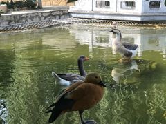 -北京市海淀外国语实验学校