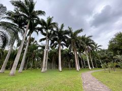-中国科学院西双版纳热带植物园