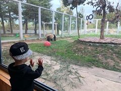 -西安秦岭野生动物园