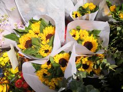 -循礼门鲜花花市(武汉循礼门店)