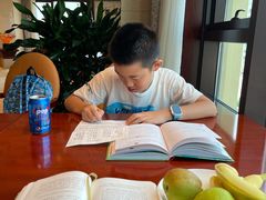 -上海圣淘沙万怡酒店