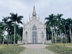 -南宁花花大世界景区