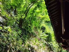 -卓刀泉寺