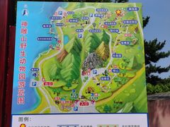 -西霞口神雕山野生动物世界