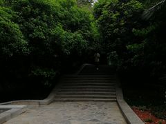 -环城公园-琥珀潭