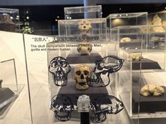 -北京周口店北京人遗址博物馆