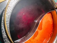 寿喜锅-温禾牛·和牛寿喜烧自助火锅(恒基名人店)