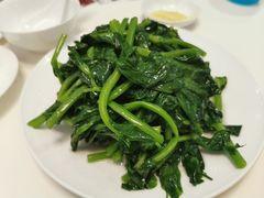 高山豌豆苗-鼎泰丰(渔阳店)