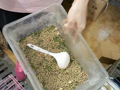 -梅陇花鸟市场-停车场