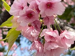 -静安雕塑公园