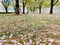 -龙美术馆(西岸馆)