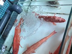 -万龙洲海鲜(南新仓店)