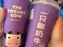 -一只酸奶牛(东方广场店)