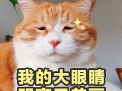 -黄花溪