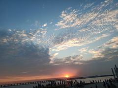 -宝安西湾红树林湿地公园