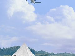 -空港花田景区