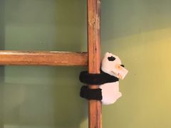 -红小姐咖啡馆(西津渡店)
