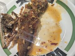 -欧记大排档·景德菜(上海首店)