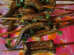 鳝鱼-晓靖轩烧烤(沙河风情店)