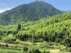 -将军关探险漂流