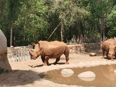 -北京野生动物园