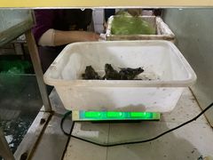 -烧哥美蛙肥肠鱼火锅·十五年社区店