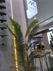 -吉米造型