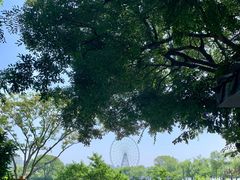 -无锡蠡湖国家湿地公园-蠡园