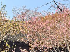 -无锡惠山寺