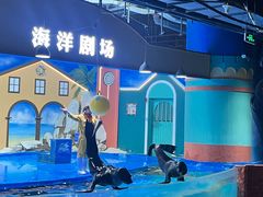 -重庆欢乐海底世界