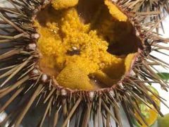 -悦和餐厅(CBD玉米楼店)