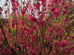 -水濂山森林公园