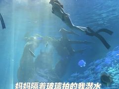 -哈尔滨波塞冬海底世界
