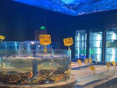 水产区-海立阁海鲜江浙菜(漕河泾印象城店)