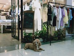 -曼哈顿商业广场(升龙广场店)