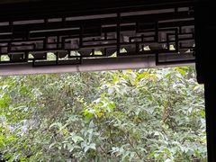 -西园戒幢律寺