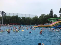 -青年湖公园水上世界