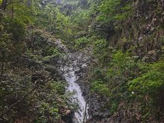 -东天目山风景区