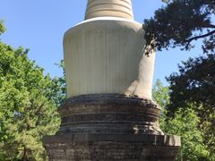 -大觉寺-停车场