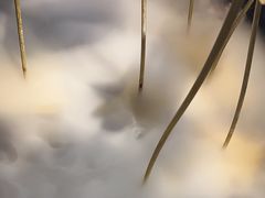 -三江源活鱼现烤(维多利摩尔城店)