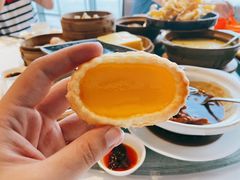 化皮鸡蛋挞-白天鹅宾馆-宏图府餐厅