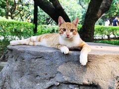 -荔香公园