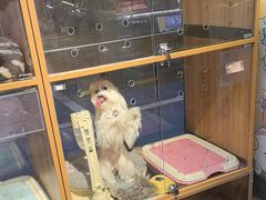-FAELING PETS美天灵宠物(富力广场店)