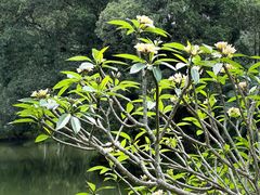 -人民公园(罗湖区)