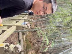 -敬亭山风景名胜区