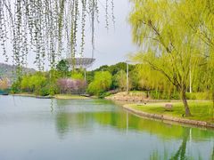 -上海佘山世茂艾美酒店