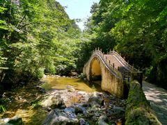 景点-牛背梁国家森林公园