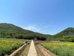 -八卦田遗址公园