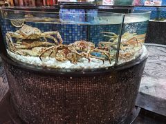 -娃哈哈(庆春路店)