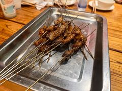 -福苗小骆驼烧烤(莲湖路店)
